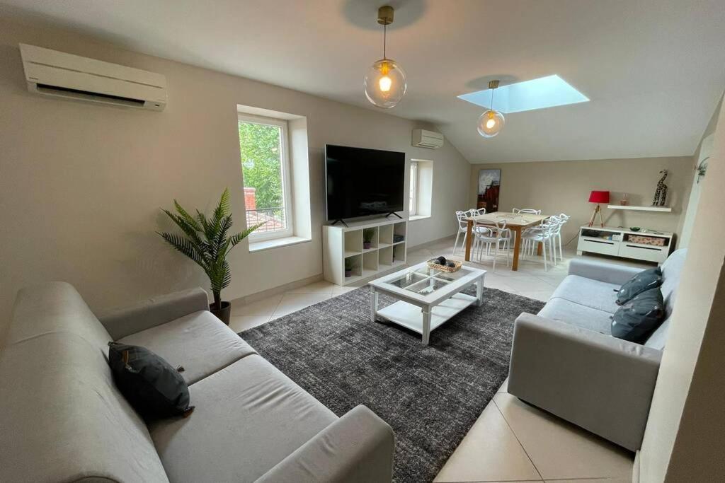 Superbe Appartement Avec 2 Chambres - 9 Personnes - Parking Prive ตูร์นง-โซร์-โฮน ภายนอก รูปภาพ