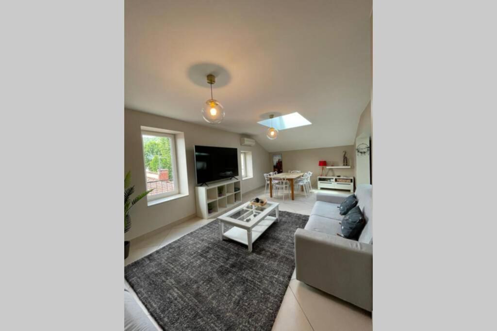 Superbe Appartement Avec 2 Chambres - 9 Personnes - Parking Prive ตูร์นง-โซร์-โฮน ภายนอก รูปภาพ